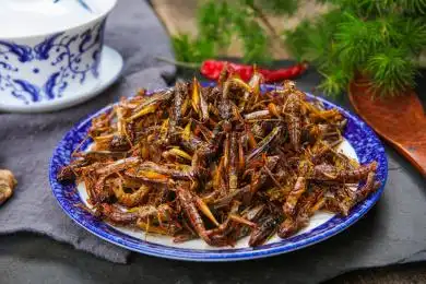 酥炸蝗虫 蚂蚱 蝗虫