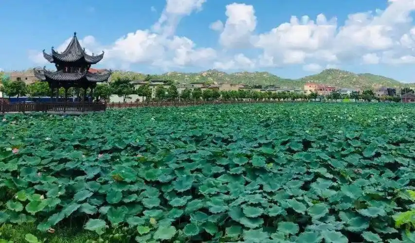 07汕尾城区捷胜镇军船头村