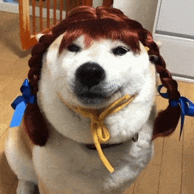 69"大家好,我是史聂风!"空气刘海.空气稀薄刘海.