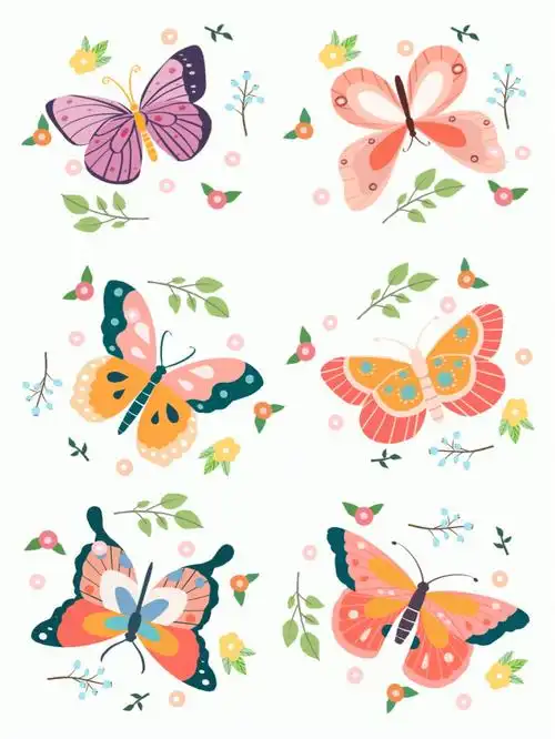 零基础03简笔画蝴蝶03美丽斑斓的蝴蝶