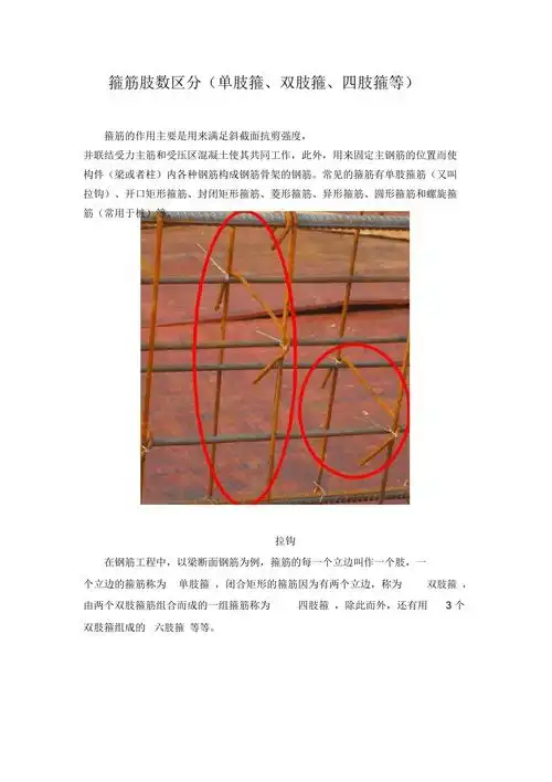 箍筋肢数区分单肢箍双肢箍四肢箍等精编版doc