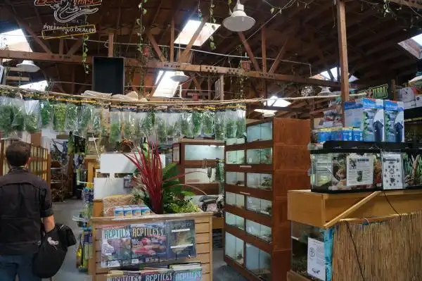 slithering through a reptiles world at the eas