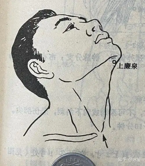 注:耳颞神经解剖图.