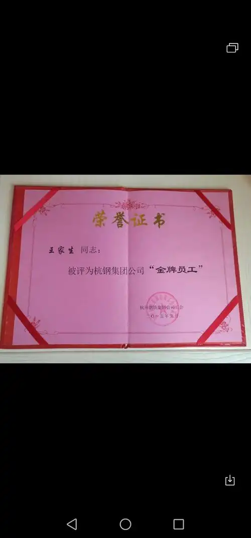 王家生劳模的奖状