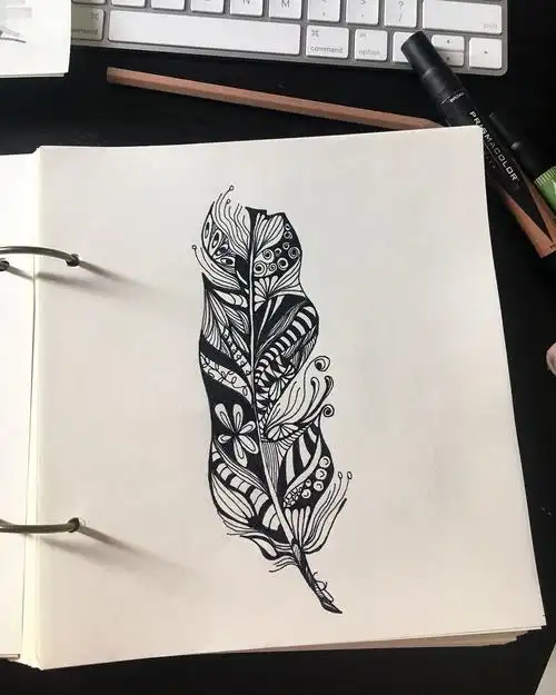 手绘-简单的羽毛|纯艺术|绘画|tutu苏 - 原创作品 - 站酷 (zcool)