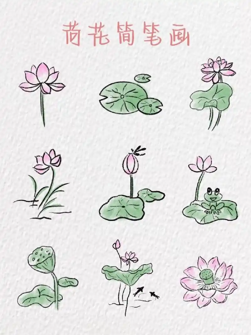 荷花简笔画～ "小荷才露尖尖角,早有蜻蜓立上头" 今日份荷花已送达 是