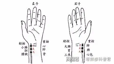 脉象分类以及辨脉纲领!