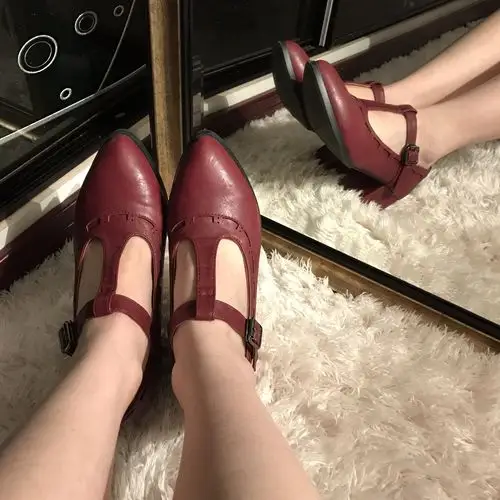 复古丁字鞋 ¥ 100 浙江 温州 全新的 我小姑子