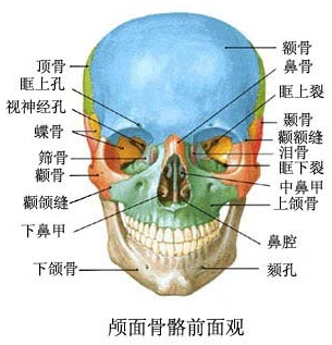 拔智齿瘦脸?没那么简单!