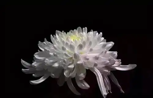 开封律师李尚明病逝 悼念文章,留言让人泪目