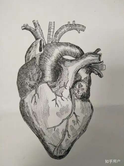 有哪些医学绘画作品可以拿来分享