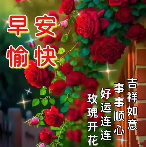 2024年5月15日,早安开心问候图片