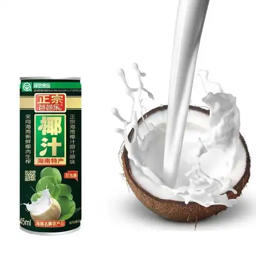 【绿色食品】芭芭乐正宗椰子汁 245ml