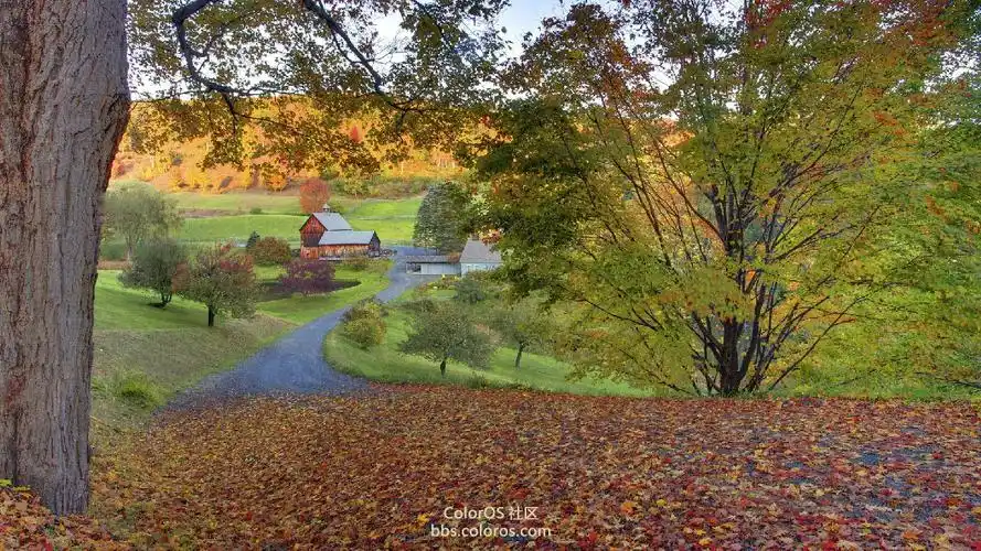【coloros资源组】推荐高清手机壁纸-1920*1080【04.26】