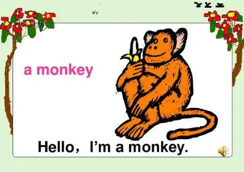猴子的英文_猴子的英文单词怎么写