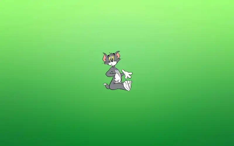 tom & jerry wallpaper for 2560x1600