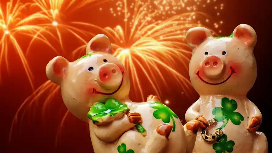 可爱的幸运猪祝你好运来壁纸图片