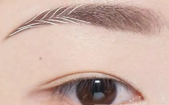 小山眉的画法小山眉让你更有女人的柔性美