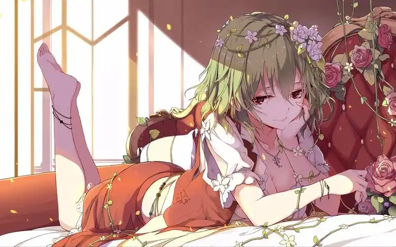 风见幽香(花妈动态)