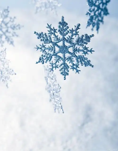 冬天的雪花作文600字