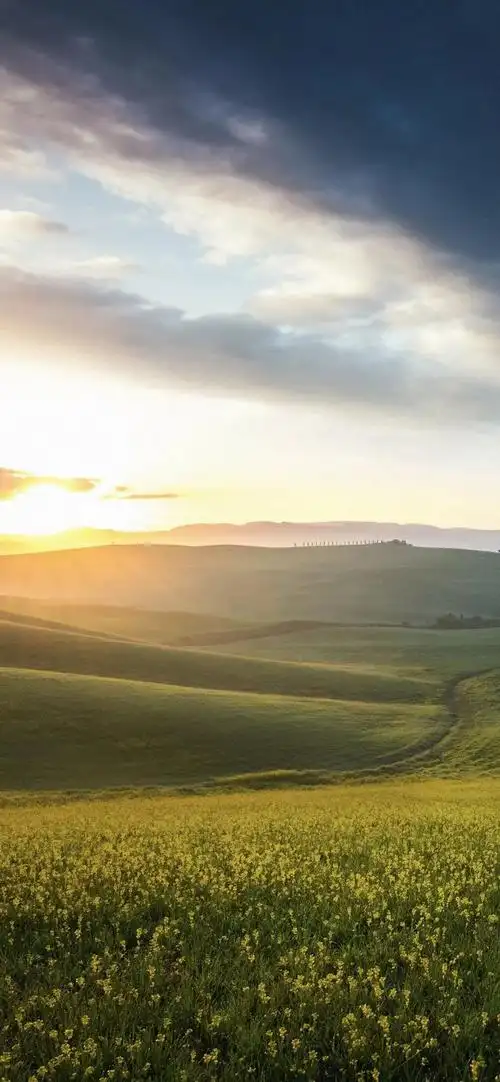 安卓全面屏壁纸原来长大后没什么了不起