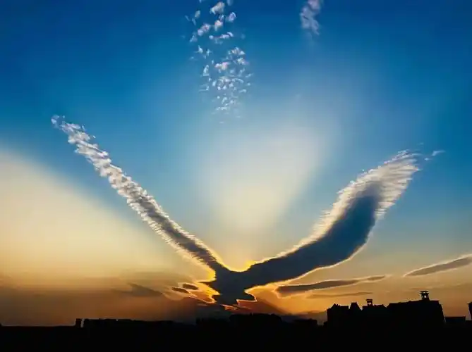 大鹏展翅祥瑞之气