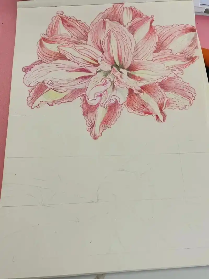 能看出画的什么品种的朱顶红嘛?97.之前画的用的笔不太好,色 - 抖音