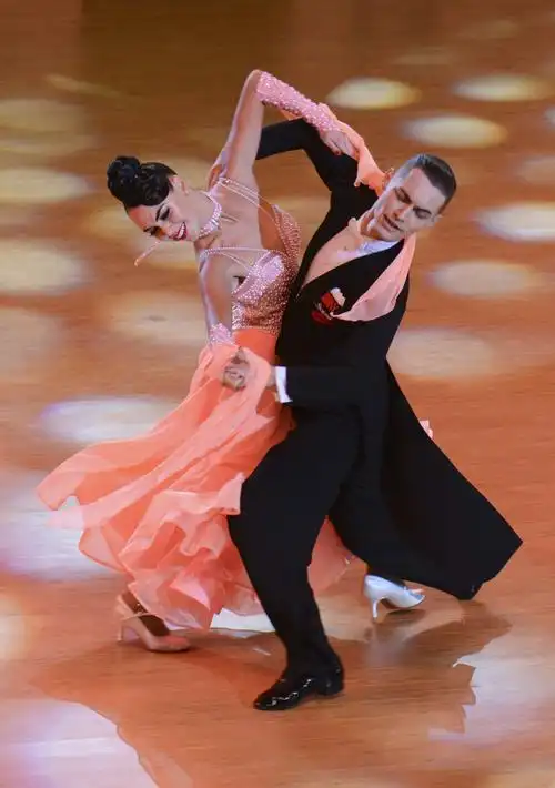 决赛分国标舞和拉丁舞两大类进行,有13对选手进入国标舞总决赛,其