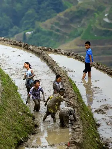 梳秧节【捉泥鳅】
