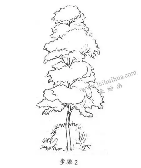 素描树的写生步骤02