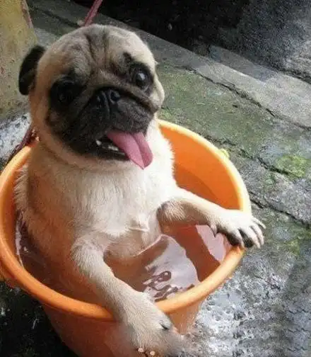 1,真凉快!如果有根烟抽就好了!