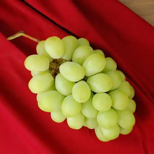 【筑地一番鲜】空运日本顶级麝香葡萄1串(约550g/串)