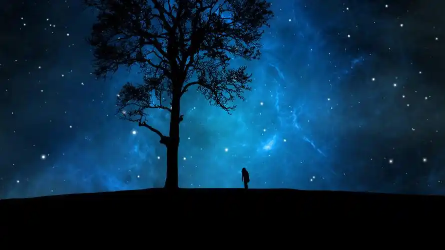 唯美星空树下人影桌面壁纸下载