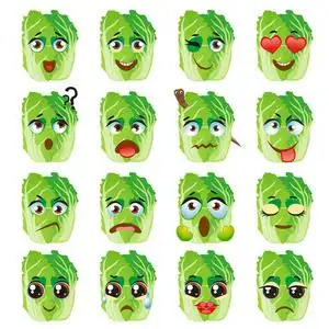 白菜 emoji 表情表情表达.有趣的可爱的食物照片