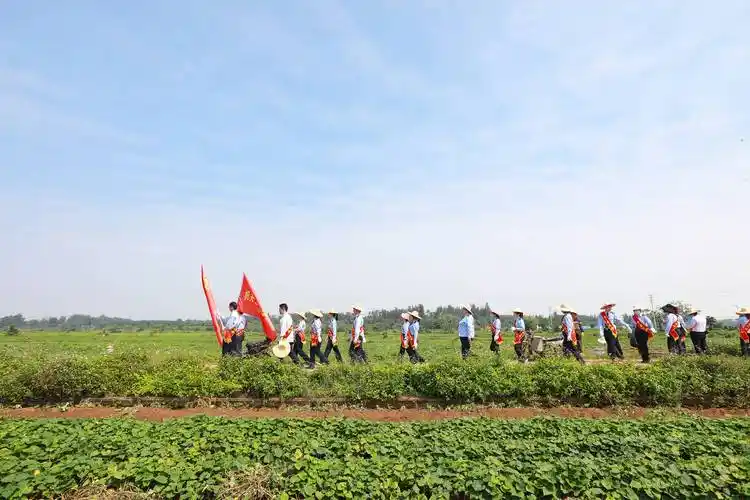 澄迈县税务局团支部"聚青年力量,展税务风采,促消费扶贫"主题团日活动