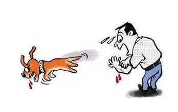 狗咬人了主人需要负什么法律责任?狗咬人了一般赔偿多少合适?