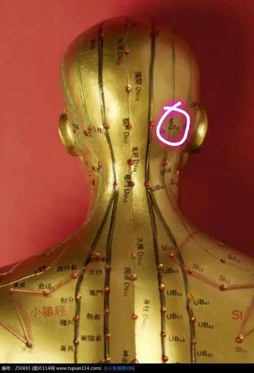 后脑勺中间有一个凸起的骨头但是我的后脑勺在这个凸起的骨头右边两指