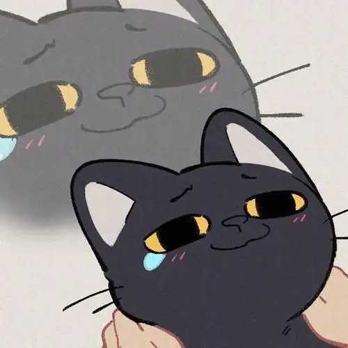 一大波猫猫头像来袭