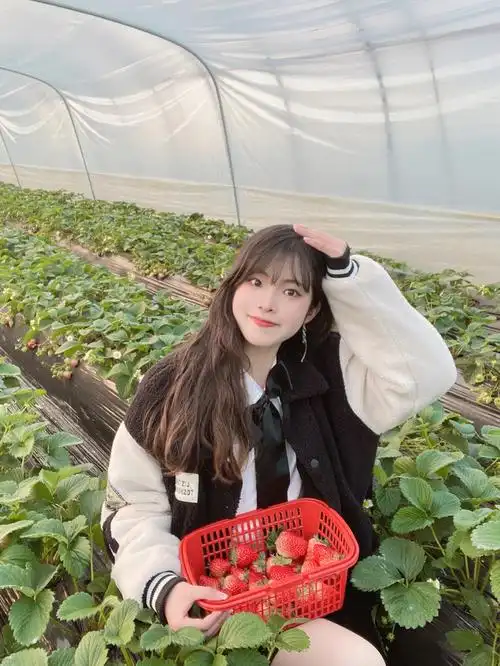 摘草莓拍照
