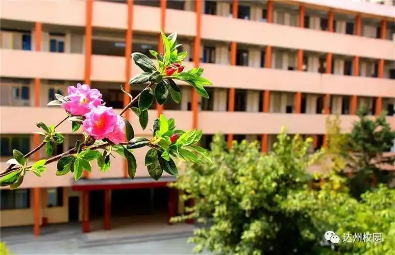 等你归来共赴春天之约达州市高级中学校园美如画