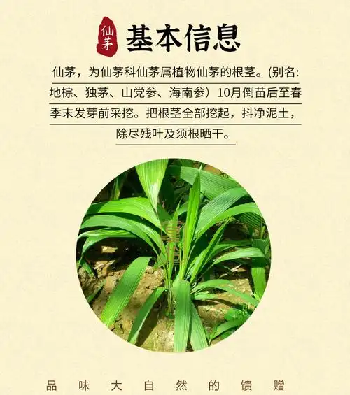 北京同仁堂野生仙茅独脚大叶仙茅参仙棕茅爪子独茅根