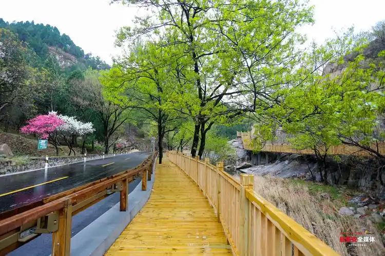 泰山景区桃花峪游览路正式开通解决人车混行行车安全问题