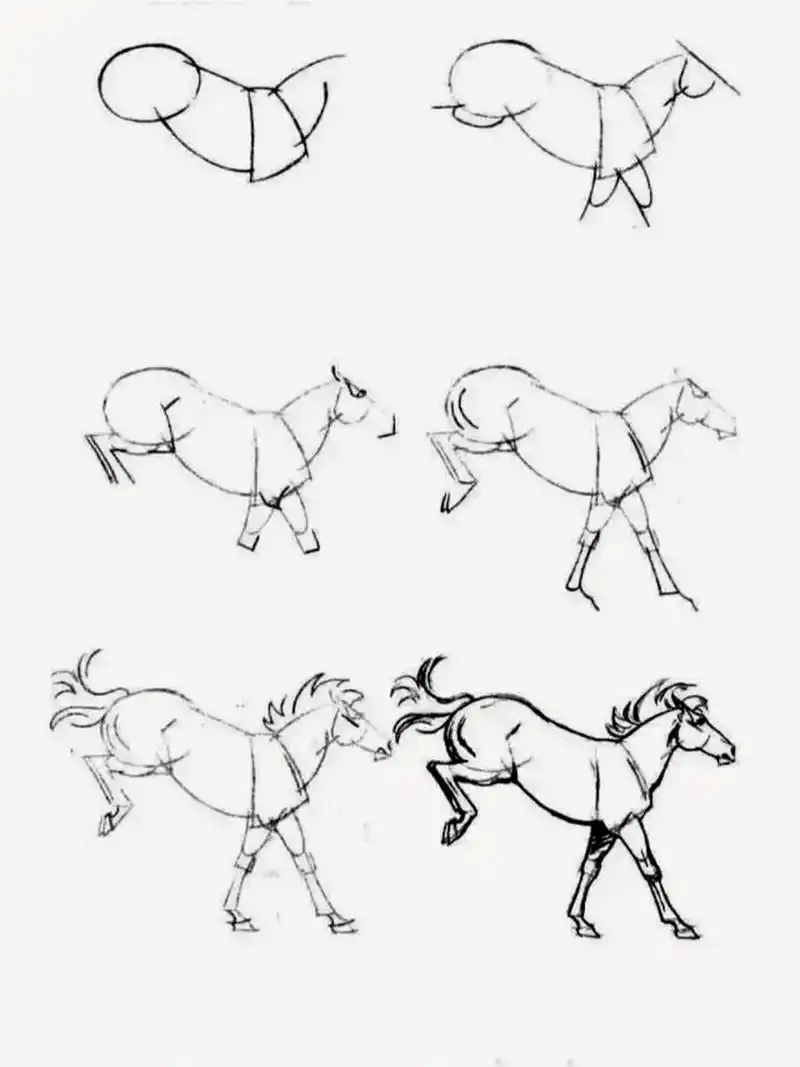 一步一步简笔画|96画马98 969696989898989898