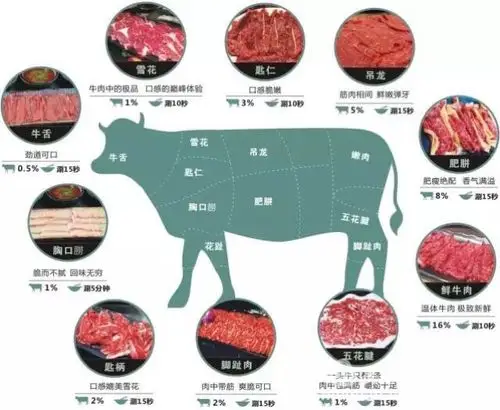 给您详细分解…… 让您看着牛吃肉
