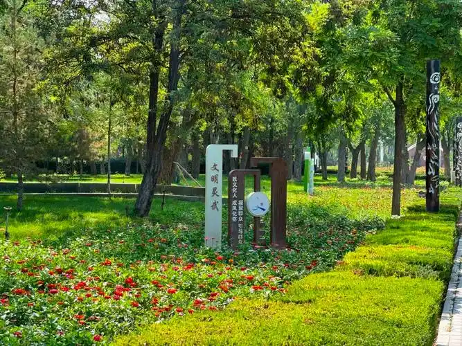 近年来,我市通过景观节点打造,绿化景观提升,露地花卉种植,打开城市的