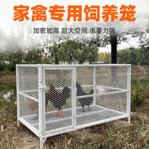 大号鸡笼养鸡专用兔笼专用铁笼防锈笼子专用加粗加密笼子家用养殖