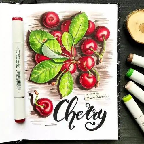 马克笔手绘一组美丽的马克笔绘画图片