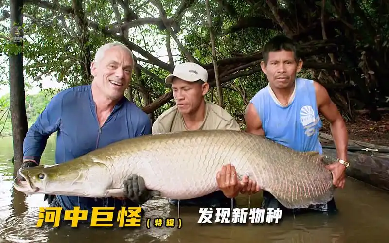 河中巨怪特辑2,杰叔在埃塞奎博河,探索和盘点一整条河流的怪物