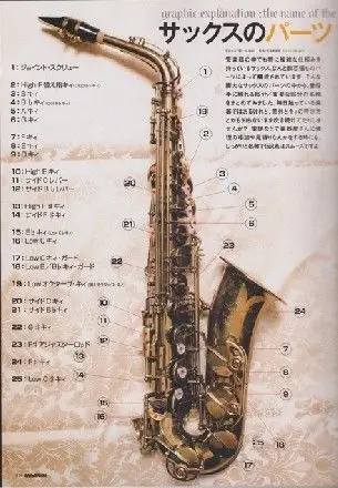 有关萨克斯按键的问题,请教 这是一张萨克斯按键图,我是菜鸟,请问