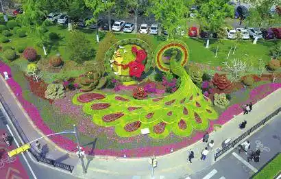 多彩立体花卉造型扮靓城市